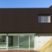 Фасадная панель из ДПК WOODVEX Венге купить в Находке