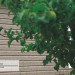 Сайдинг Ю-Пласт TIMBERBLOCK Пихта (Тимберблок) Cахалинская купить в Находке