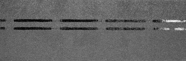 Коньково-карнизная черепица Docke Premium, черника купить в Находке