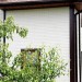 Фасадная панель Grand Line Сланец молочный купить в Находке